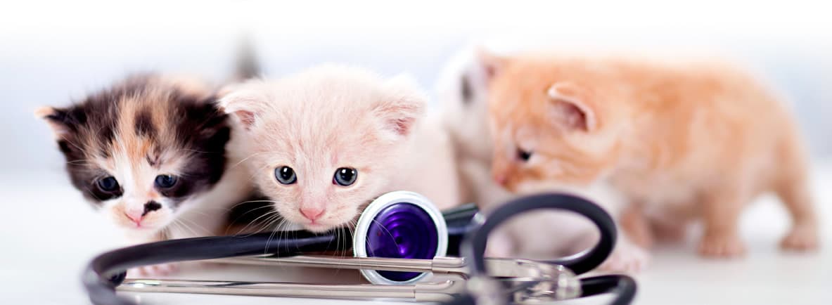 Pet Owners